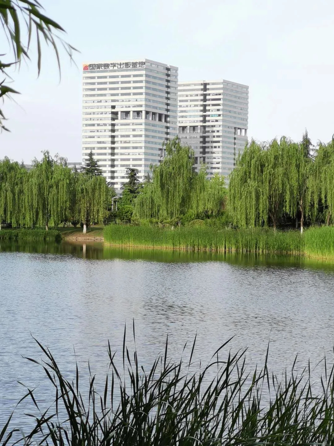 紅五月,西馳電氣逆流而上,逆勢上揚(圖2) 紅五月,西馳電氣逆流而上,逆勢上揚(圖2)